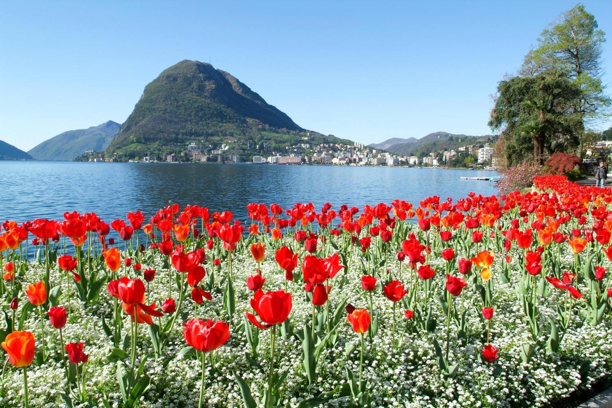 Little Lugano - Happy Rentals Luaran gambar